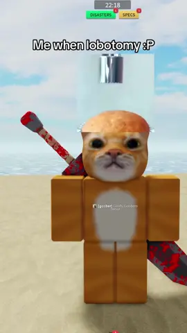 Sorry for not uploading yesterday, I’m very sick rn #roblox #robloxfyp #combatwarriors #combatwarriorsroblox #lobotomy #silly @Divided @male @Code 