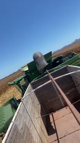 #agricultura🚜🌱 #cosechando#maiz #forever #👍 