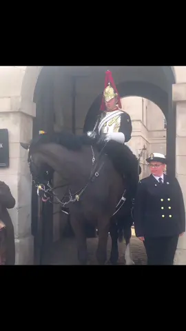 #foryoupage  #tiktokviral #viraltiktok #viralvideo #videoviral #follow #subscribe #like #share #bestvideo #fypviral #donottouch  #horseguardsparade #changingoftheguards #royalguards #thekingsguards #kingsguard #kingshorse #fyp #foryou #fypシ #fanpage #tourists #london #bluesandroyals 