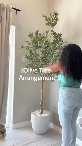 Lets set up my new Olive Tree!  If you want links to anything in the video comment and let me know!  #homedecor  #homeinspo  #olivetree  #livingroomdecor  #homeideas  #moderndecor 