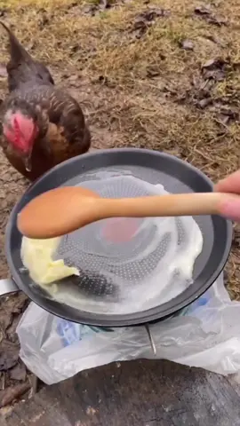 Chicken Time by @grill.zeiten🔥  🔥🐓🦊 #chicken #outdoorcooking #cookingoverfire #cooking #fun #funny #funnyvideo