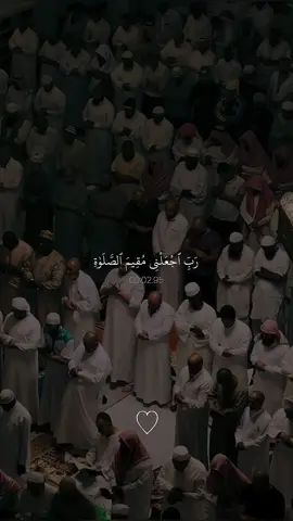 تدبروا الأيات🤍#قران #خالد_الجليل #قران_صلي_علي_النبي 