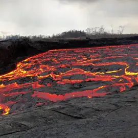 Fluxo de lavas basálticas do vulcão Kialuea no Hawaii! . Credit (epiclava_ ig) . . . . . #volcan #volcanoeruption #volcano #lava #magma #geo #earth #geomorphology #geomorfologia #geomorfología #geoscience #geology #geologia #geología #geologíaplanetaria 