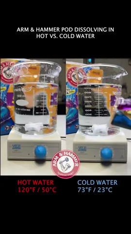 Arm & hammer laundry detergent pod dissolving in hot verse cold water  #stem #experiment #Science #laundry #pod #laundrypod #tidepod #armandhammer 
