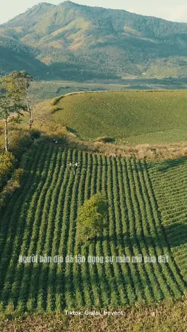 Chư Đăng Ya - Ngọn núi lửa hùng vĩ giữa đại ngàn Tây Nguyên ❤️#sunmedia#chudangya #dulichgialai #reviewgialai #yfpシ #pleiku #nuiluachudangya 