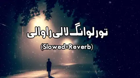 تور لونګ لالی راوری#🎵🎵🎵👍🥂🥂 #videoviral #foryoupage 