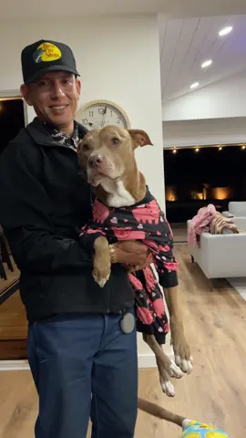 The best 🥰 #fyp #dogsofttiktok #foryouu #pitbulls #pitbullsoftiktok #dogs 