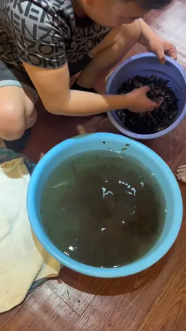 Chìm Việt Nam Ngâm Rượu 