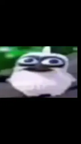 I just made a bird singing. Feel free to use this as long you give me credits. #Meme  #memes #bird #singing #screaming #funny #fyp 