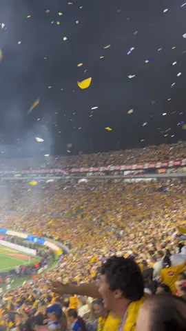 Increible la afición de Tigres 🐯💛 #tigres #tigresmty #estadiouniversitario #fyp 