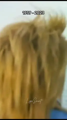 Tina Turner _ what's love got to do with it #tinaturner #whatslovegottodowithit #rocktracks #1984 #privatedancer #help #descansaenpaz🕊💜 