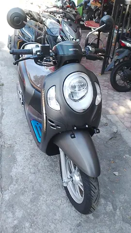 Scoopy brown Alhamdulillah siap otw .. #Scoopy2023