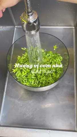 Bữa chay đơn giản của tui 👩🏻‍🍳 Ngồi lựa nhạc 1 buổi rồi không biết động lực nào đã khiến tui chọn bài này 🫠 #AnCungTikTok #nấuănđơngiản #tiktokfood #dailyvlog #vàobếpmỗingày 