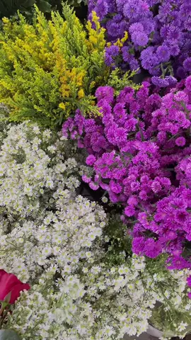 Aaaaaa cantik banget🫶🏻🌸 #pasarkembangsolo #floweraesthetic 
