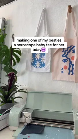 whats your star sign?♊️ mine is ♑️🐐 #starsigns #horoscope #gemini #capricorn #croptops #SmallBusiness #giftsforher 