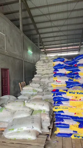 Bismillah . Usaha baru  #bukanmaen🔥 #petanisawit #bosssawit #TumbuhdanTangguh #pupuk #fypdongggggggg 