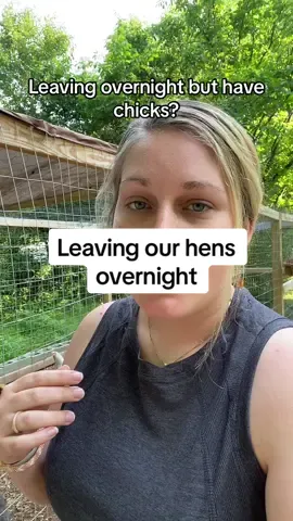 #chickcare #babychicks #chickies  #pulletsoftiktok #pulletsandhens #chickenmath #chickenmathisarealproblem #chooks #chickens #raisingchickens #backyardchickenlady #chickdays #chickdaysarehere #backyardchickens 