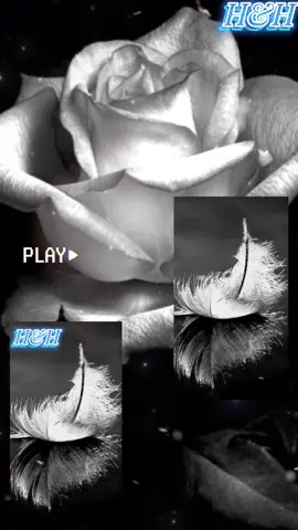 ✨DOS RAZONES✨ 🎵🎼🎶🎤🎧🩵 #dosrazones #santafeklan #complaciendoamisseguidores #seprendioelcerro🔥🍻🤠 #haganduos🔁 #hh #offallthemusichh #lamusicaesvidaaaaa🎶🎤🎷💣❤ #sinolatenemostelacantamos🤣 #todoconrespeto #parati #foryou #fipシ #sigueme #papistear🍻 #pabailar💃🏻🕺🏻 #pallorar🥹 #parreir🤣 #viveydejavivir #aquiamamostodalamusica 