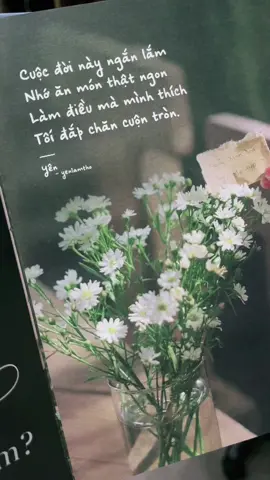 Gặp lại khi mùa hoa nở nhé! #phiatruoclabautroiskybooks #skybooksvietnam #SáchHayNênĐọc 