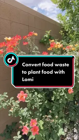 I have always wanted to try composting at home but was worried with all the odor, mess and pests! Not anymore! I discovered Lomi, @Lomi | Home Composter the only carbon negative appliance in our home that converts food waste into plant food within a few hours! If you are looking for a revolutionize kitchen waste management and promote a more sustainable lifestyle you definitely need to check them out!   https://link.capssion.com/r/iEv6ob  #lomi #wastemanagement #foodwastesolution #foodwastetip #foodwastetips #foodwasteprevention 