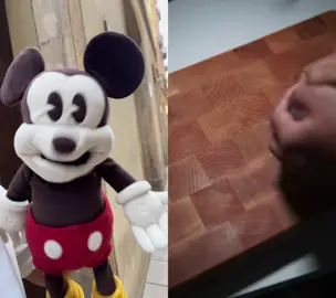 #duet with @Maine.r bro what is this food video #comedy #funny #mickey 