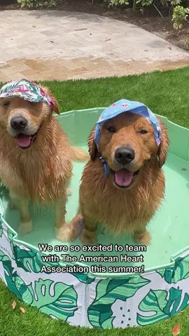 We are so excited to share our collaboration with @American Heart. Each Friday in June we will be sharing how Kevin and Jeffrey help me prioritize my heart health. We are also taking the 30 mile dog walk challenge! Be sure to check out our stories to learn how to take the challenge with us! #BestFriendFridays #AHAAmbassador