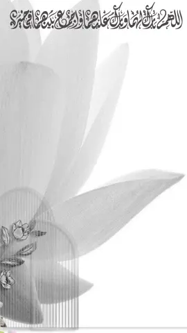 ملكة أخوي #دعوات_الكترونيه #دعوات #اكسبلورexplore #بشارة_مولود #fypシ゚viral #تهنئة #تخرجنا #بشارة_مولوده #دعوة_تخرج #ذكرى_زواجنا #تخرجي #ملكة_أخوي