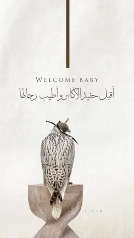صاملين ندلعكم تستاهلوووون 🫶🏻🤍🤍🤍 #بشارة_مولود #بشارة_مولودة #سمي_جده #بشارة_حفيد #دعوات_الكترونيه #سمي_أبوي  #اكسبلورexplore #مالي_خلق_احط_هاشتاقات 