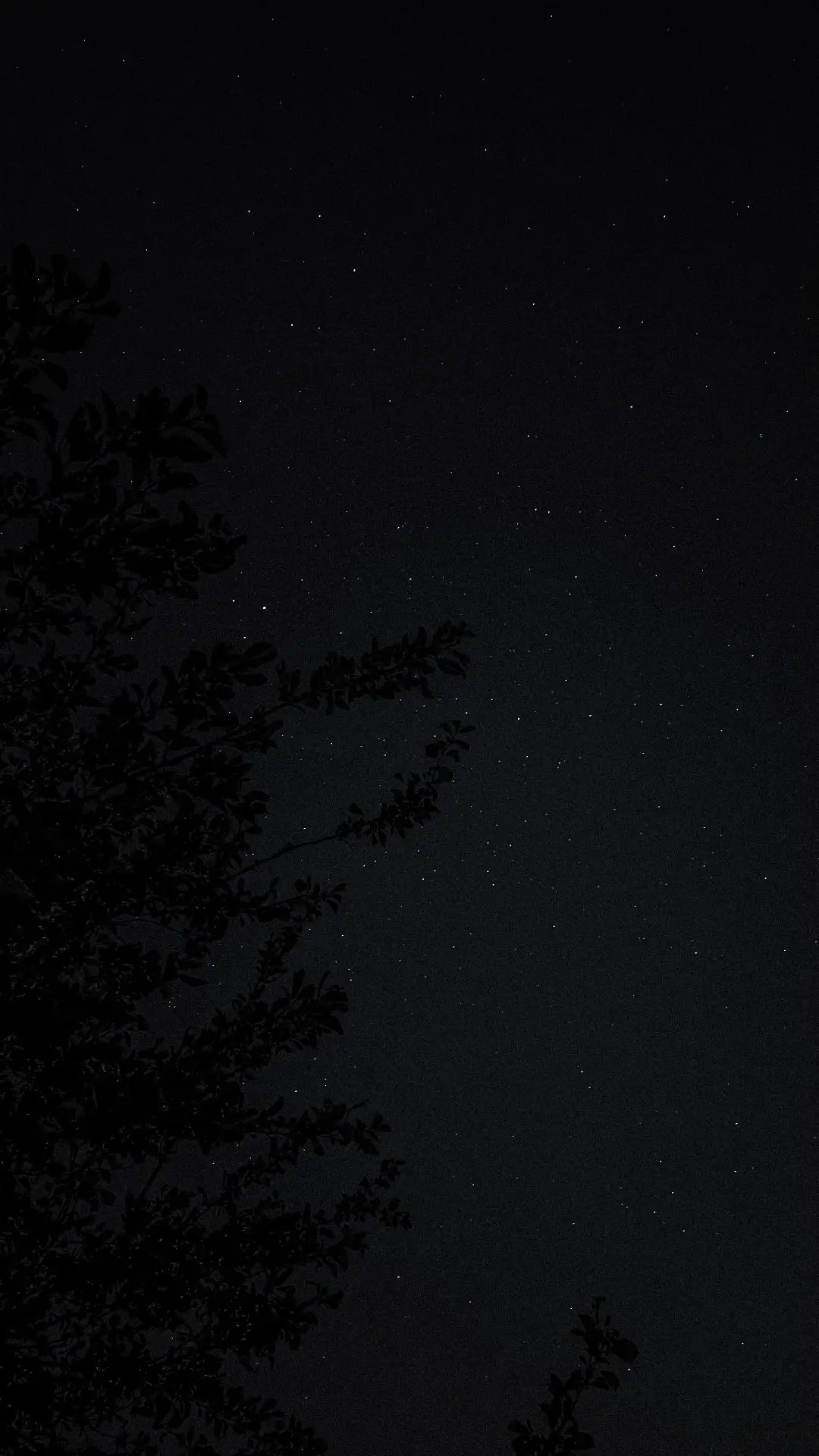 #stars #astro #astrophotography #pixelphotography #night #stargazing #nightsky #sky #astrophoto #univers #galaxy