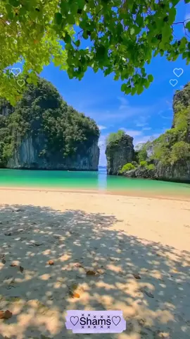 وجدت هنائا وذقت الرضا 