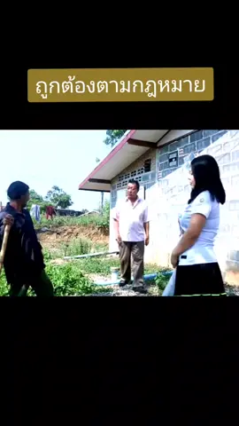 #hmoob #ม้ง #หนังม้ง 