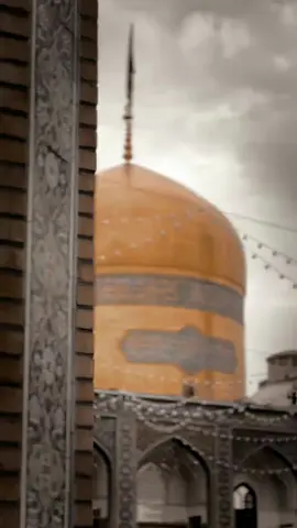 ايا رضا بكلبي جروح💔 #علي_الوائلي #الحاج_علي_الوائلي  #الذاكر_احمد_علي #حسين_والي_اللامي  #اكسبلور #استوريات #explorepage  #imamhussain #ياعلي_بن_موسى_الرضا  #ياحسين #يازهراء #ياعلي_الاكبر #كربلاء  #اللهم_عجل_لولیک_الفرج #ملاعلي_الوائلي 