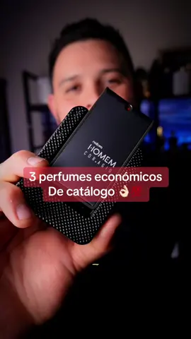 3 Perfumes económicos de catalogo 👌🏻💯 #perfumes #fragancias #perfumesparahombres 