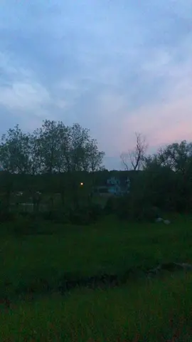 sky was kinda cool + i saw a bat #wowza #bat #outdoor #sky #sunset #trees #path #fyp 