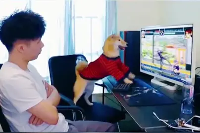 Puppy is playing the video game #puppy #funnypuppy #dog #gaming #pet 