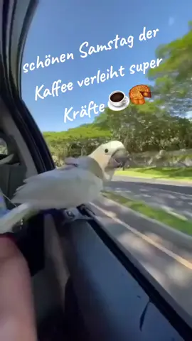 #wochenende #coffee #kaffee #gutenmorgen #lustigevideos #funnyvideos #vordichris #spaßmusssein #spaß #gutelaune 