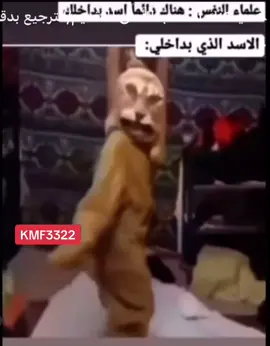 #fun #funny #laugh #lion #crazy #dance #ضحك #وناسه #فله #أسد #استهبال #رقص #خبل 