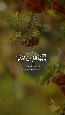 Surah al hajj #quran #عبدالرحمن_مسعد 