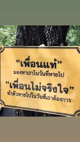 เพื่อนแท้มีไม่กี่คนหรอก🫂#ฟีด #เปิดการมองเห็น 