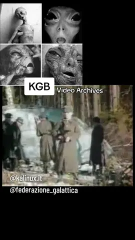 KGB Video Archives #ufo #precipitato #crash #ovni #uap #alien #russia 