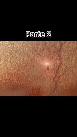 Se existisse vida em Júpiter ##cosmo##astronomia##inteterimento