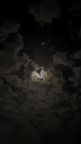 #يالله #نجحني_ونجح_كل_طالب_يالله #CapCut #مستمرين #💔 #يالله 