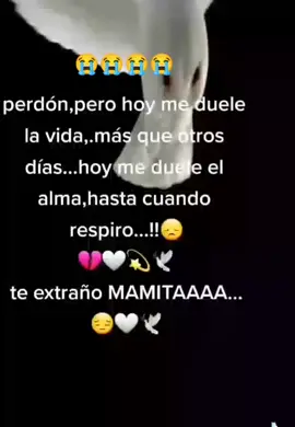 te extrano mamita#ferchitodj #cochabamba_bolivia🇧🇴_tik_ #tok 