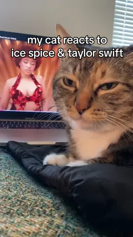 Taylor Swift thank u so much for making this collab with Ice Spice happen! 💗 #taylorswift #icespice #swifties #icespicemunch #cat #cats #cattok #swifttok #erastour #pop #karma #karmaremix #karmafticespice #fyp