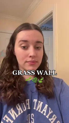 #Target #diygrasswall #grasswall #clawclipgrasswall #clawclip #clawclipwall #weirdart #oddhomedecor #weirdhomedecor @Kaarin Joy #kaarinjoy 