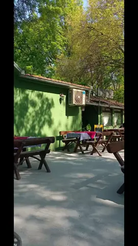 Restoran Zabran kod Obrenovca. Najbolja riblja Corba u Srbiji a i ribe su im dobre. Sirok jelovnik ima sve kso za ljubitelje ribe i mesa tako i za prave gurmane. Nalazi se ored Save a priroda je prelepa  #restoranzabran  #zabran  #sava  #obrenovac  #roda 