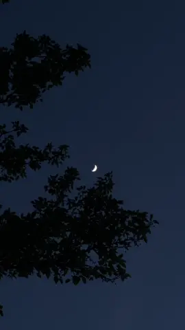 maybe the moon is beautiful only because it is far. -Mahmoud darwish.                                 #poetry #videoviral #aesthetic #darkaesthetic #moon #night #blowthisup #tiktok #videography #viral #اكسبلور #goviral #fyp 