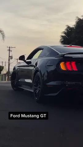 Ford Mustang GT, se liga no brilho após os cuidados da RORH. #rorh #esteticaautomotiva #mustanggt #fordmustanggt #barrabonita 