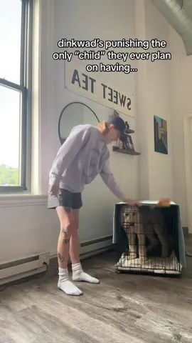 is this my way of relating to gentle parenting #dinkwad 