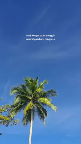 butuh pantun yang bagus #pantunlucu #pantun #storykatakata #storywa #langitaesthetic #story #cinematic #aestheticvibes #videovibesestetik #videobuatstorywa #aesthetic #storytime 